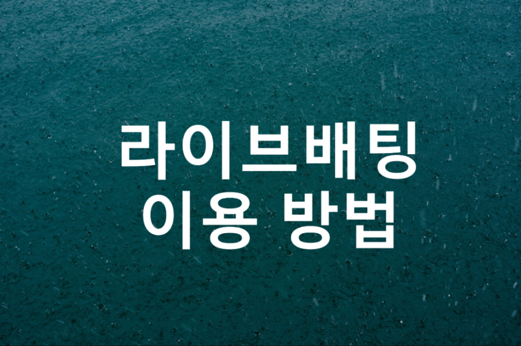 라이브배팅 이용방법