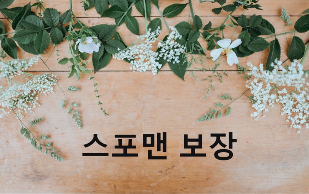 메이저놀이터 순위 스포맨 보장