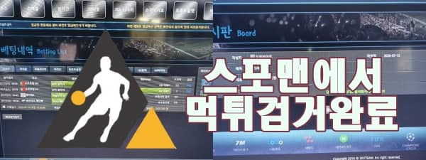 스카이팀 먹튀사이트