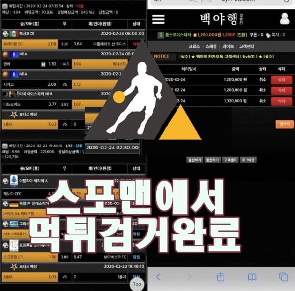 백야행 먹튀사이트