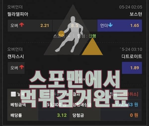 오토플렉스 먹튀사이트 