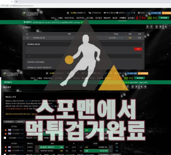 민트스포츠 먹튀사이트