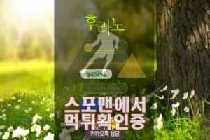 후라노 신규사이트 토토사이트 사설토토 HRN-11.COM 스포맨 먹튀검증