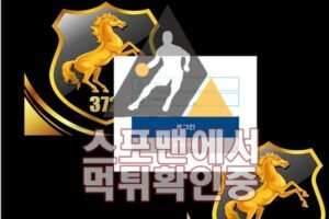 372 신규사이트 스포츠토토 토토사이트 토토검증 먹튀검증 GN372.COM